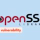 OpenSSL Vulnerability in RSA KEM Could Leak Application Memory, Patches Urgently Released