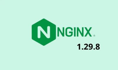 Nginx and FreeNginx Roll Out Critical Security Patch and OpenSSL 4.0 Support