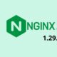 Nginx and FreeNginx Roll Out Critical Security Patch and OpenSSL 4.0 Support