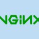 Critical Nginx-UI Vulnerability Exploited for Remote Server Takeover